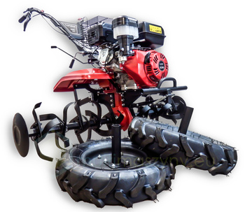 Glebogryzarka spalinowa Cedrus GL06