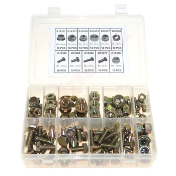 ZESTAW NAKRĘTEK I ŚRUB DO PRZEKŁADNI 120