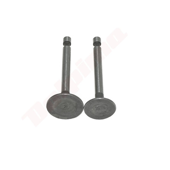 ZAWÓR LONCIN 154F ( 500550033-T020 )