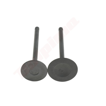 ZAWÓR ROBIN EX40 ( 20B-33401-H3 )