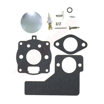 MEMBRANA DO BRIGGS&STRATTON ( 391071 , 394989 )