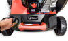 Wertykulator spalinowy Cedrus WR01 2w1