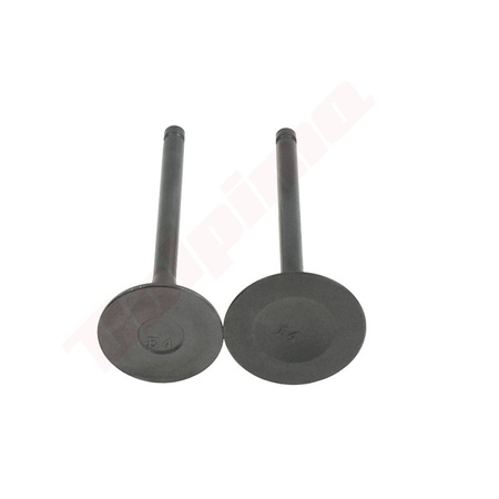 ZAWÓR ROBIN EX40 ( 20B-33401-H3 )