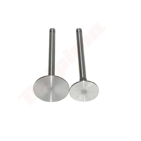 ZAWÓR YANMAR L100 ( 114310-11100 , 114310-11110 )