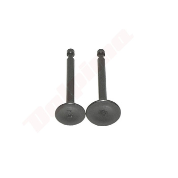 ZAWÓR HONDA GXR120 ( 14711-Z0D-000 , 14721-ZDJ-900 )