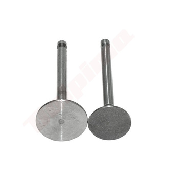 ZAWÓR YANMAR L 48 ( 114250-11101 , 114250-11113 )