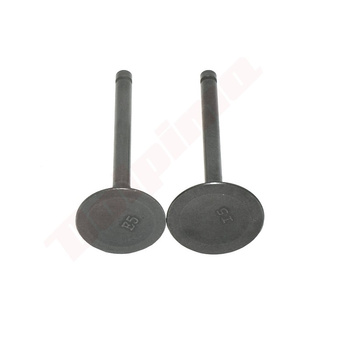 ZAWÓR ROBIN EX27 ( 279-33401-H3 )