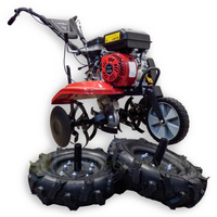 Glebogryzarka spalinowa Cedrus GL05