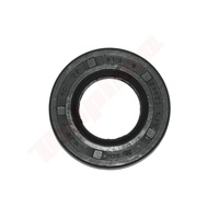 USZCZELNIACZ LONCIN LC1P65FE 22x41,30x6 ( 380650834-0001 )