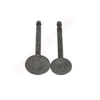 ZAWÓR ROBIN EY20 ( 227-23401-03 )